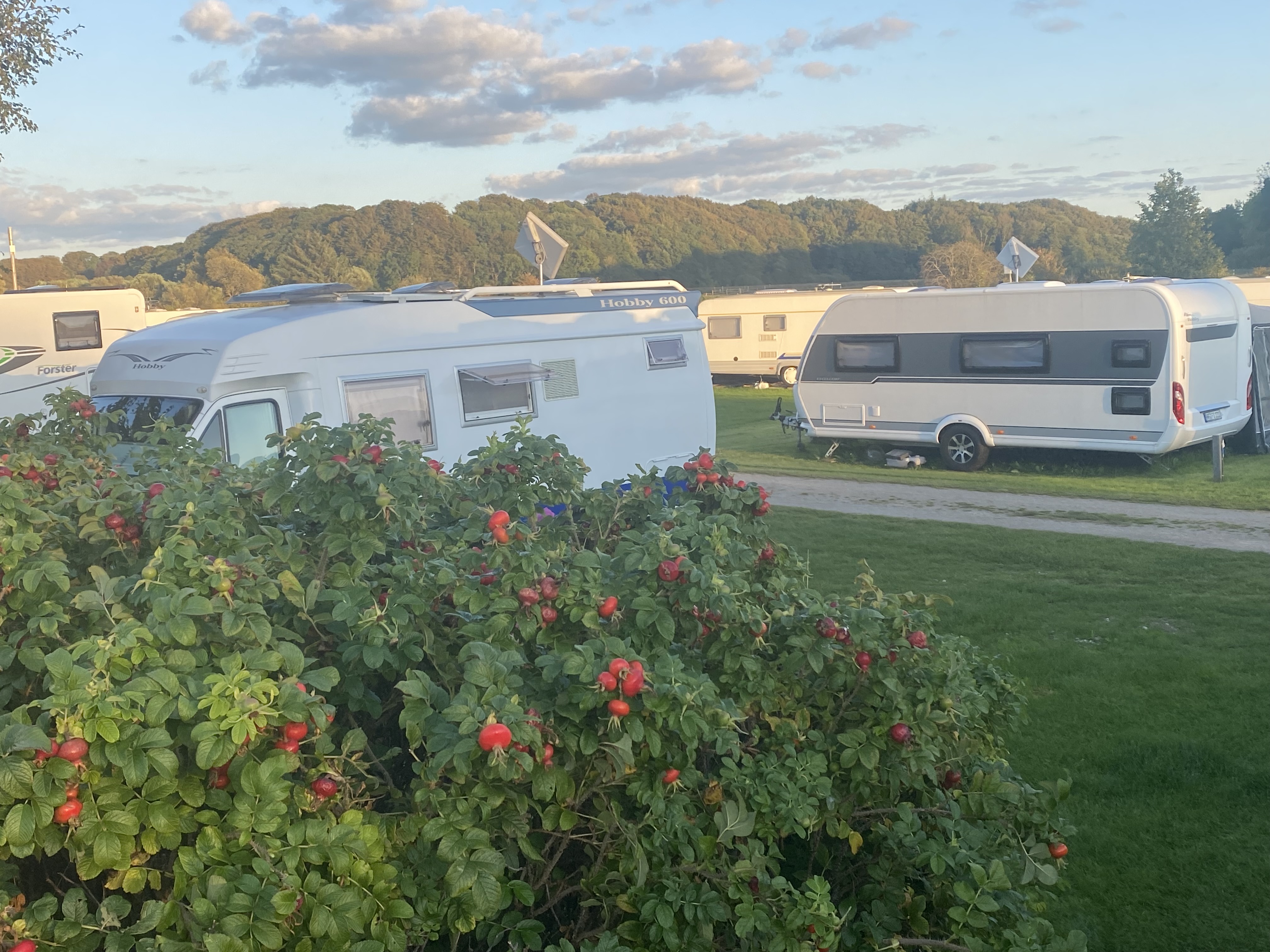 Schleswig-Holstein: Auch in Wohnwagen und Wohnmobilen kann es Bettwanzen geben. Symbolfoto: Kerstin Prosch Schleswig-Holstein: Auch in Wohnwagen und Wohnmobilen kann es Bettwanzen geben. Symbolfoto: Kerstin Prosch