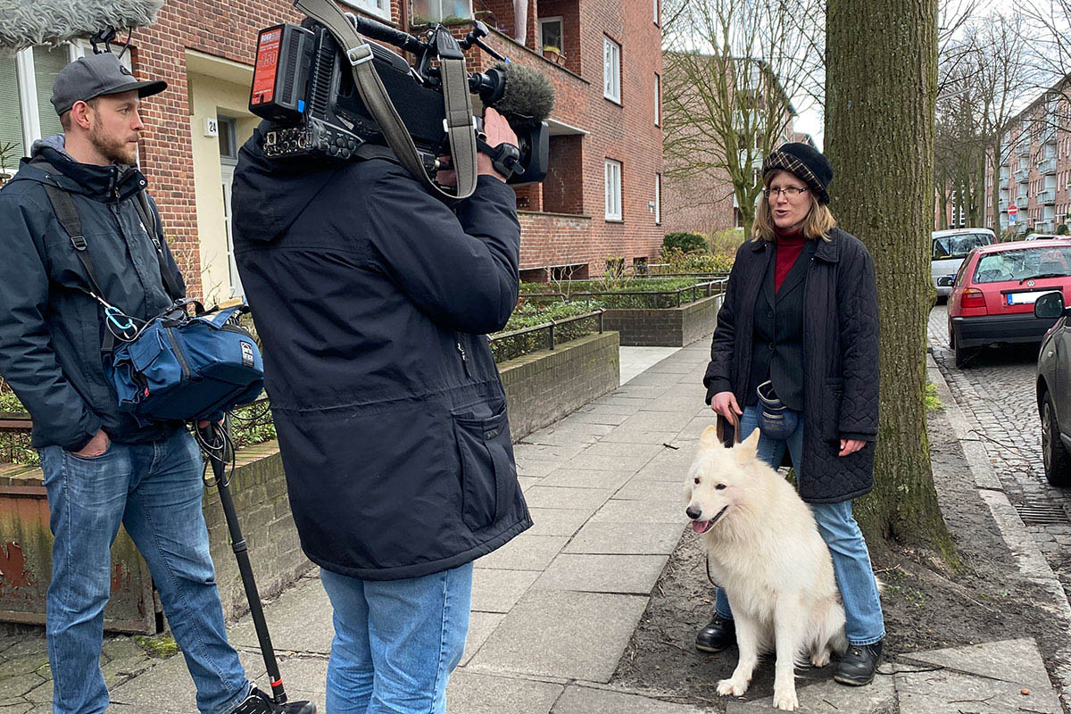 Bettwanzenspürhund Karik bei den Filmaufnahmen. Kammerjäger für Bettwanzen in Hamburg: Bettwanzenspürhunde bei Filmaufnahmen NDR.